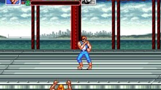 Screenshot for Super Double Dragon