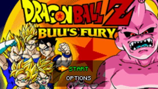 Screenshot for Dragon Ball Z: Buu's Fury