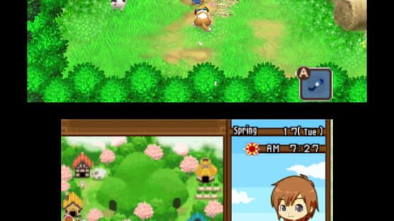 Screenshot for Harvest Moon: The Tale of Two Towns