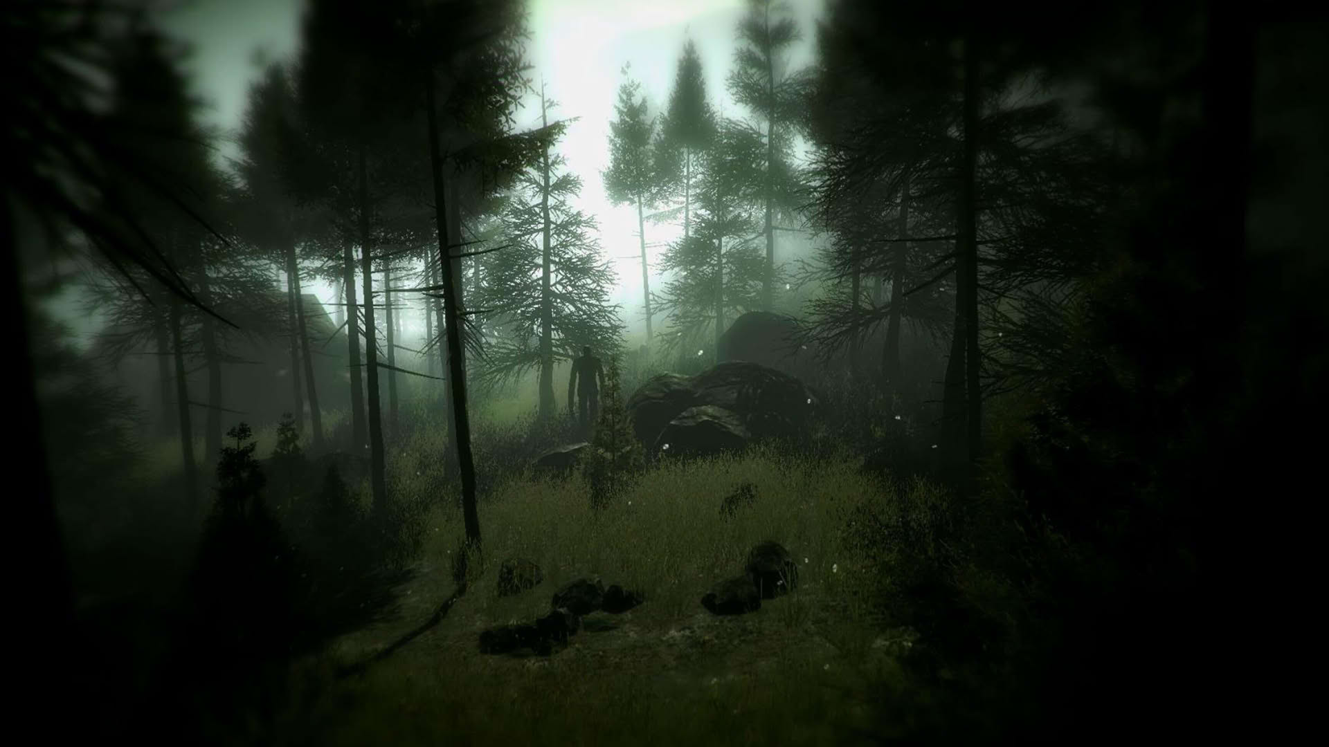 Screenshot for Slender: The Arrival