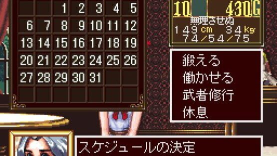 Screenshot for Princess Maker: Legend of Another World
