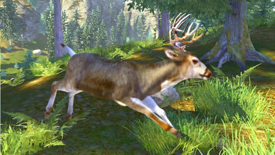 Screenshot for Cabela's Trophy Bucks