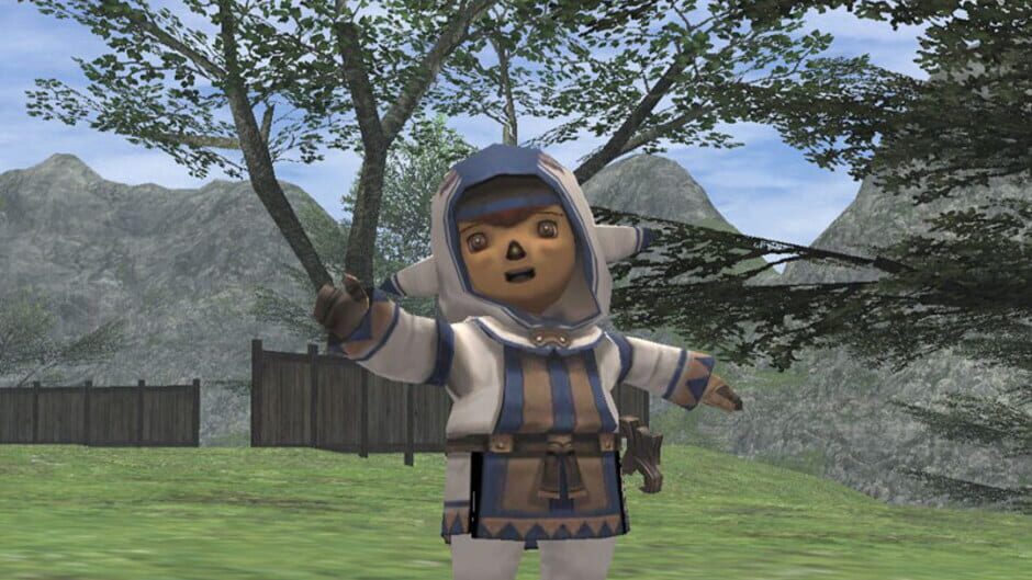 Screenshot for Final Fantasy XI Online