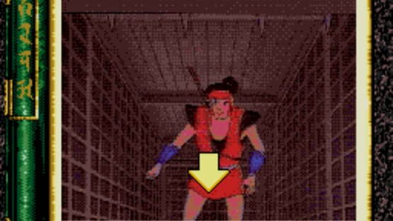 Screenshot for Revenge of the Ninja
