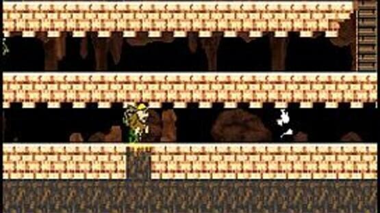 Screenshot for Panda Craze