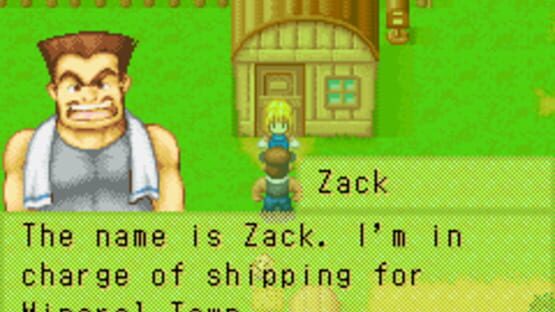 Screenshot for Harvest Moon: More Friends of Mineral Town