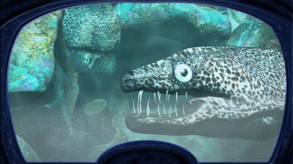 Screenshot for Nancy Drew: The Creature of Kapu Cave