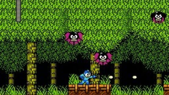 Screenshot for Mega Man 2