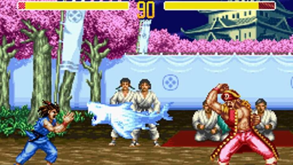 Screenshot for World Heroes 2
