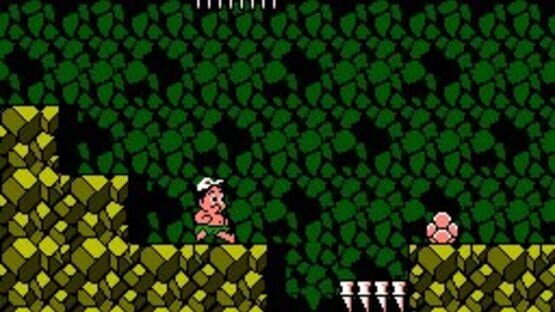 Screenshot for Adventure Island 3