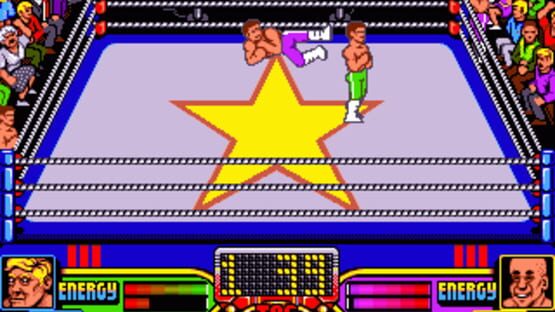 Screenshot for American Tag-Team Wrestling