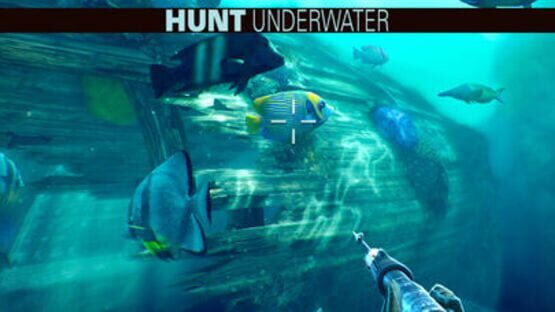 Screenshot for Deer Hunter 2018