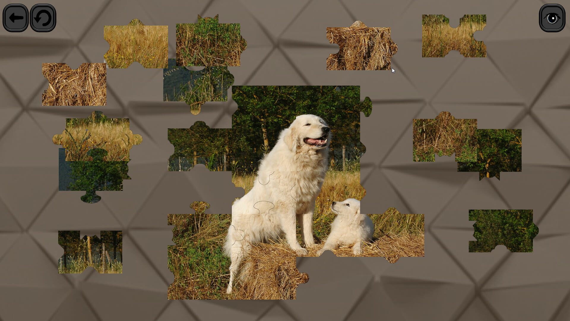 Screenshot for Puzzles for smart: Dogs