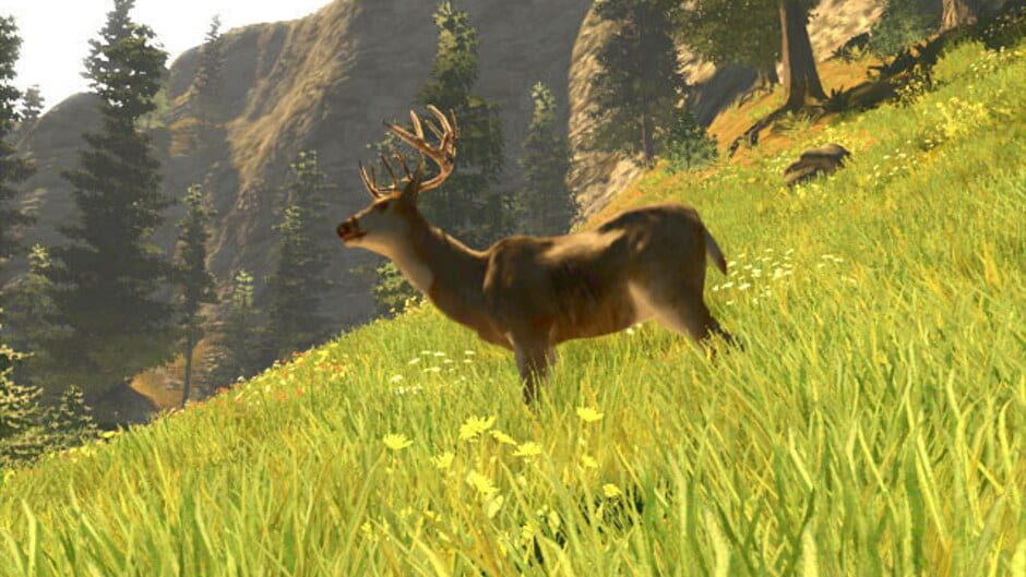 Screenshot for Cabela's Trophy Bucks