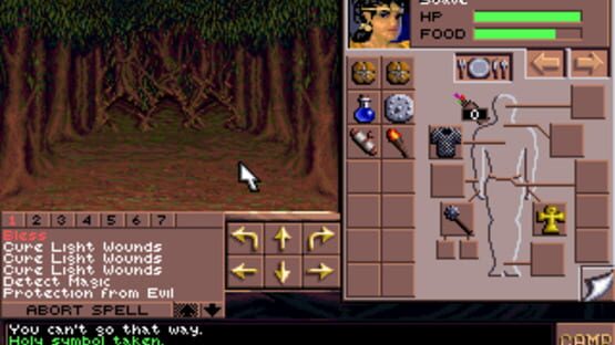 Screenshot for Eye of the Beholder III: Assault on Myth Drannor