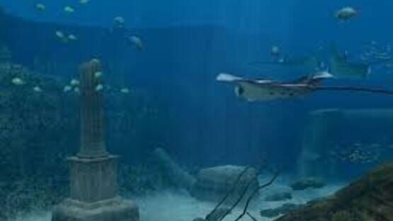 Screenshot for Endless Ocean