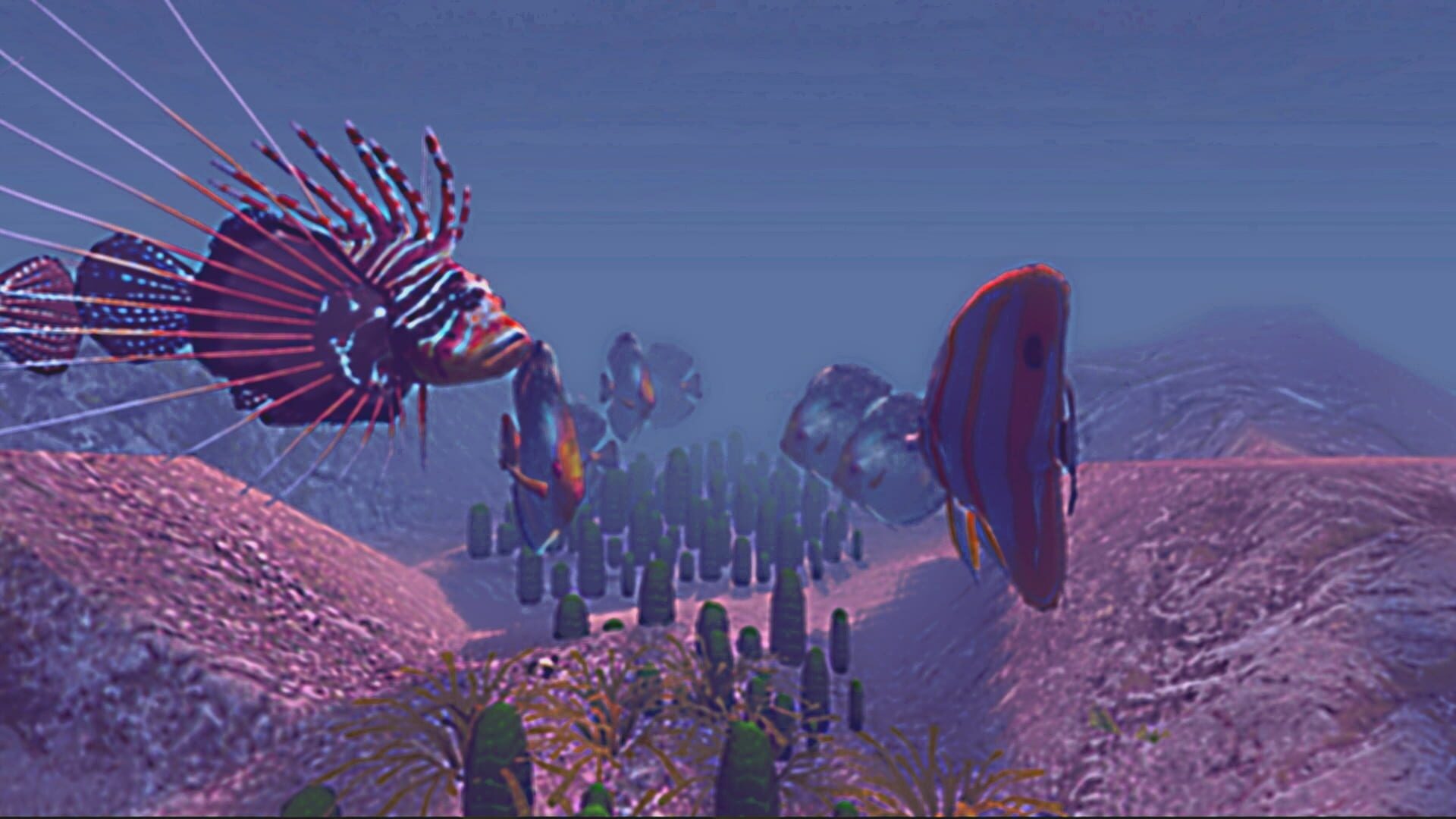 Screenshot for Zen Fish SIM