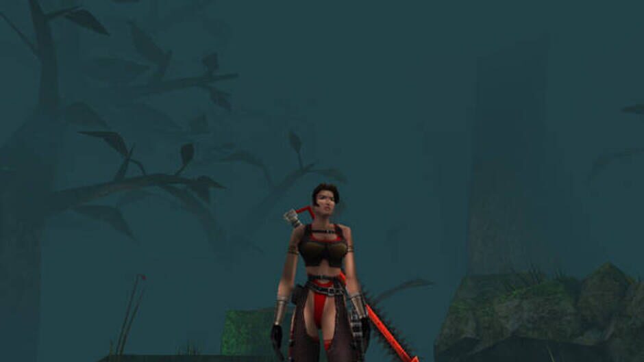 Screenshot for Heavy Metal: F.A.K.K. 2