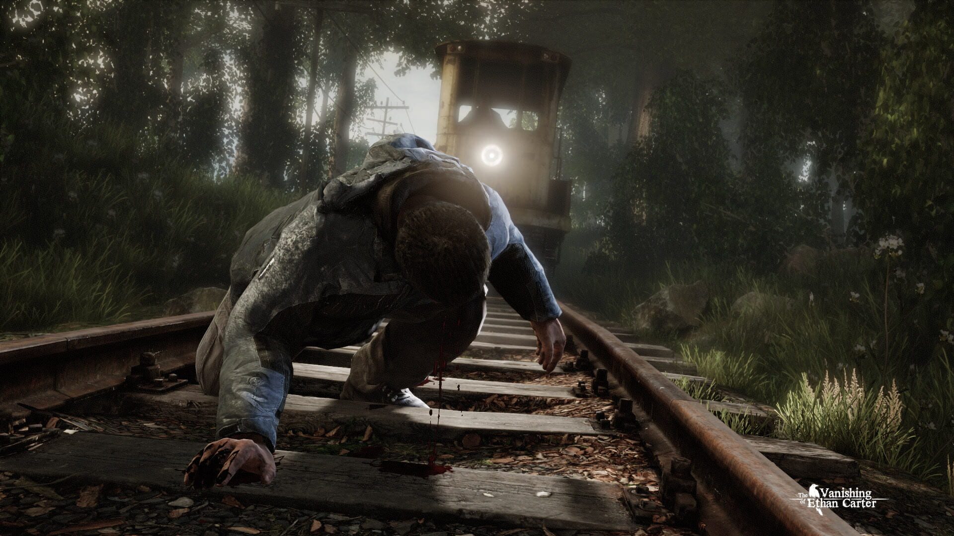 Screenshot for The Vanishing of Ethan Carter