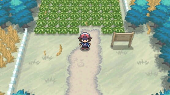 Screenshot for Pokémon Black Version