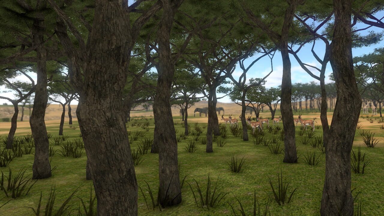Screenshot for Savanna Shot VR