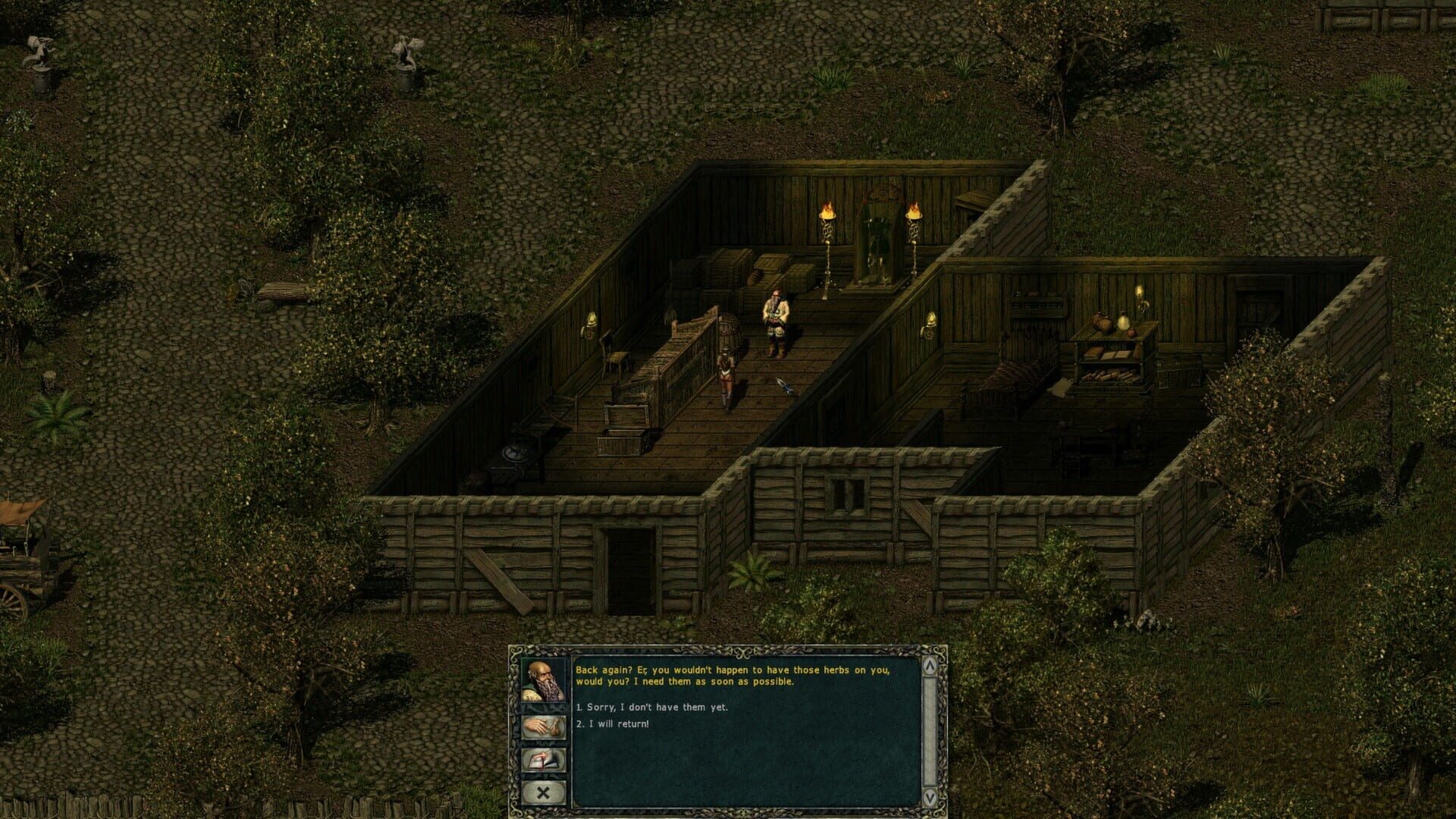 Screenshot for Divine Divinity