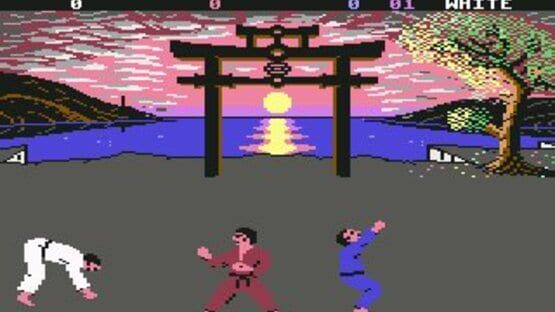 Screenshot for International Karate +
