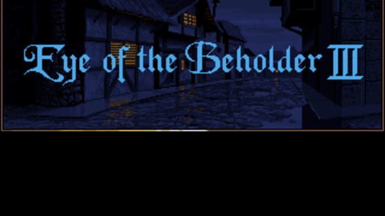 Screenshot for Eye of the Beholder III: Assault on Myth Drannor