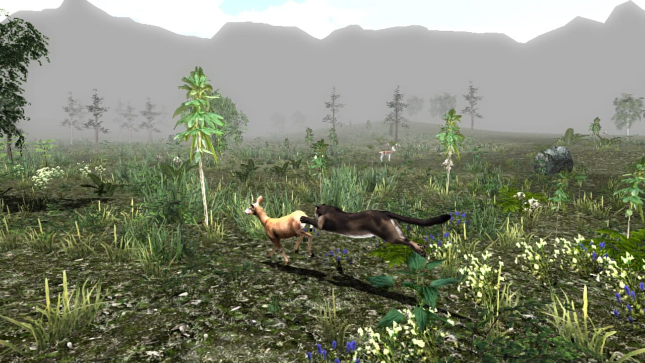 Screenshot for Untamed: Life of a Cougar
