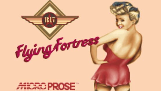 Screenshot for B17 Flying Fortress
