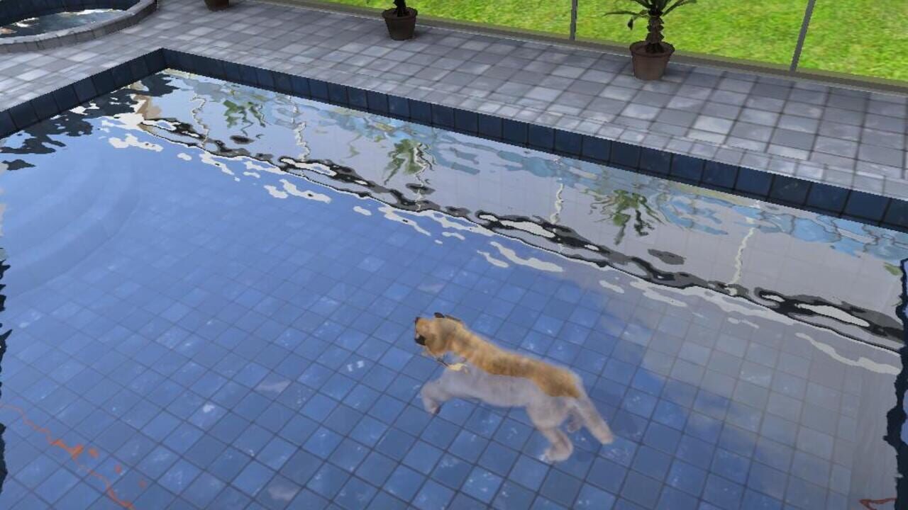Screenshot for Paws & Claws: Pampered Pets