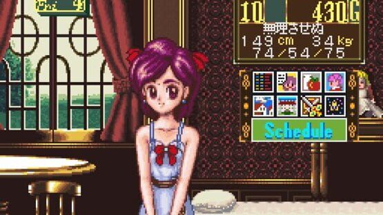 Screenshot for Princess Maker: Legend of Another World