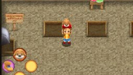 Screenshot for Harvest Moon DS: Sunshine Islands