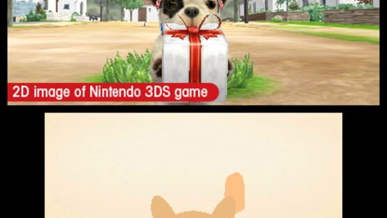 Screenshot for Nintendogs + Cats: French Bulldog & New Friends