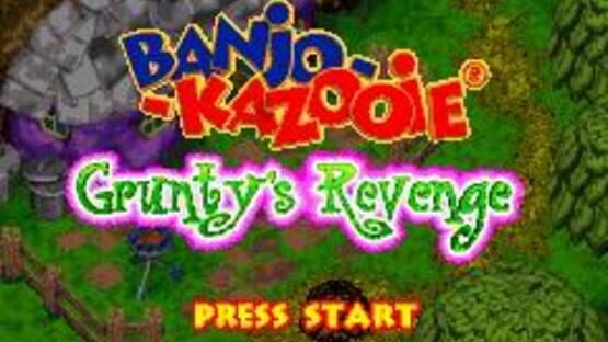 Screenshot for Banjo-Kazooie: Grunty's Revenge