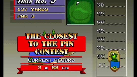 Screenshot for Neo Turf Masters