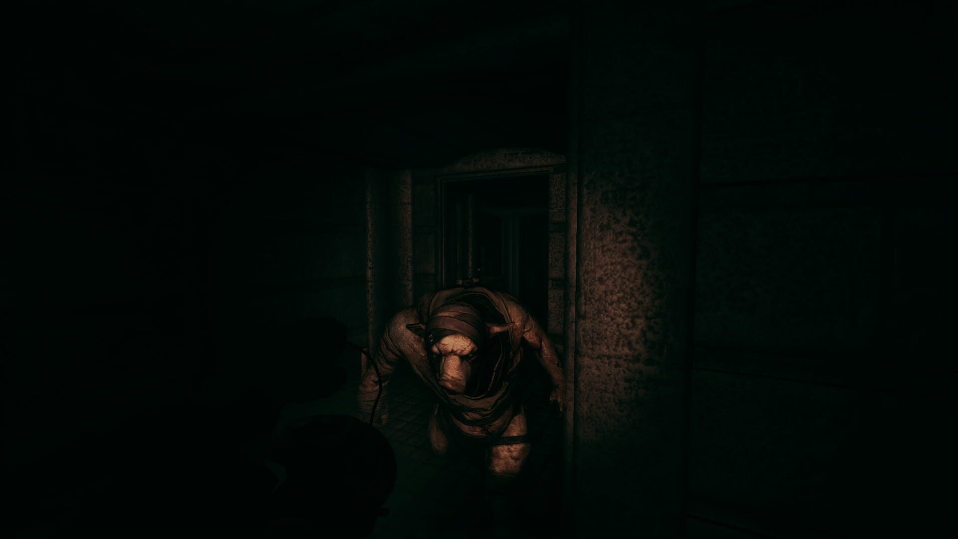 Screenshot for Amnesia: A Machine for Pigs