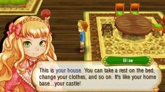 Screenshot for Story of Seasons