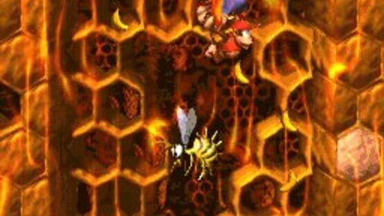 Screenshot for Donkey Kong Country 2: Diddy's Kong Quest