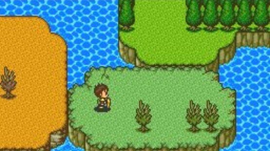 Screenshot for Neutopia II