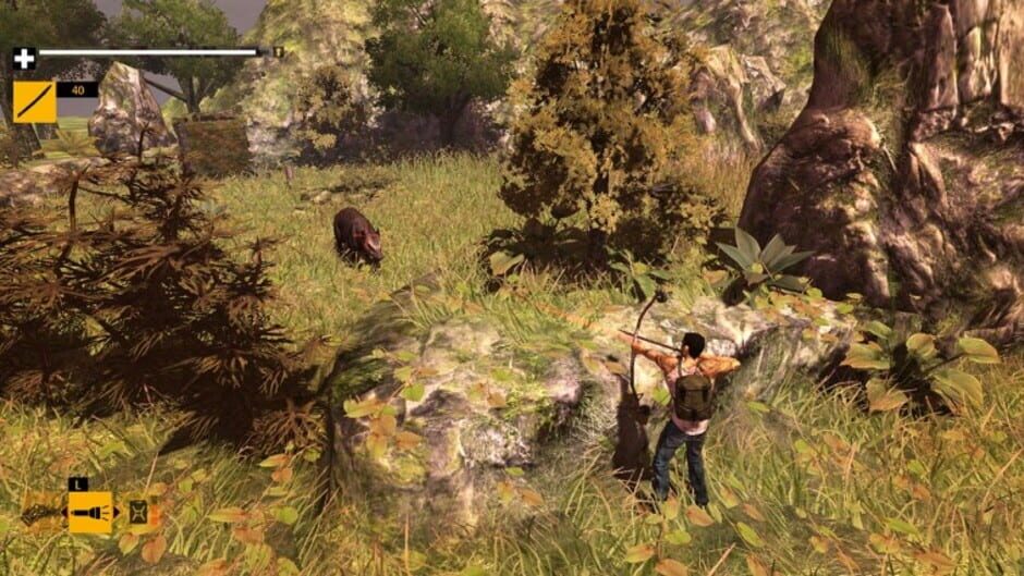 Screenshot for How to Survive