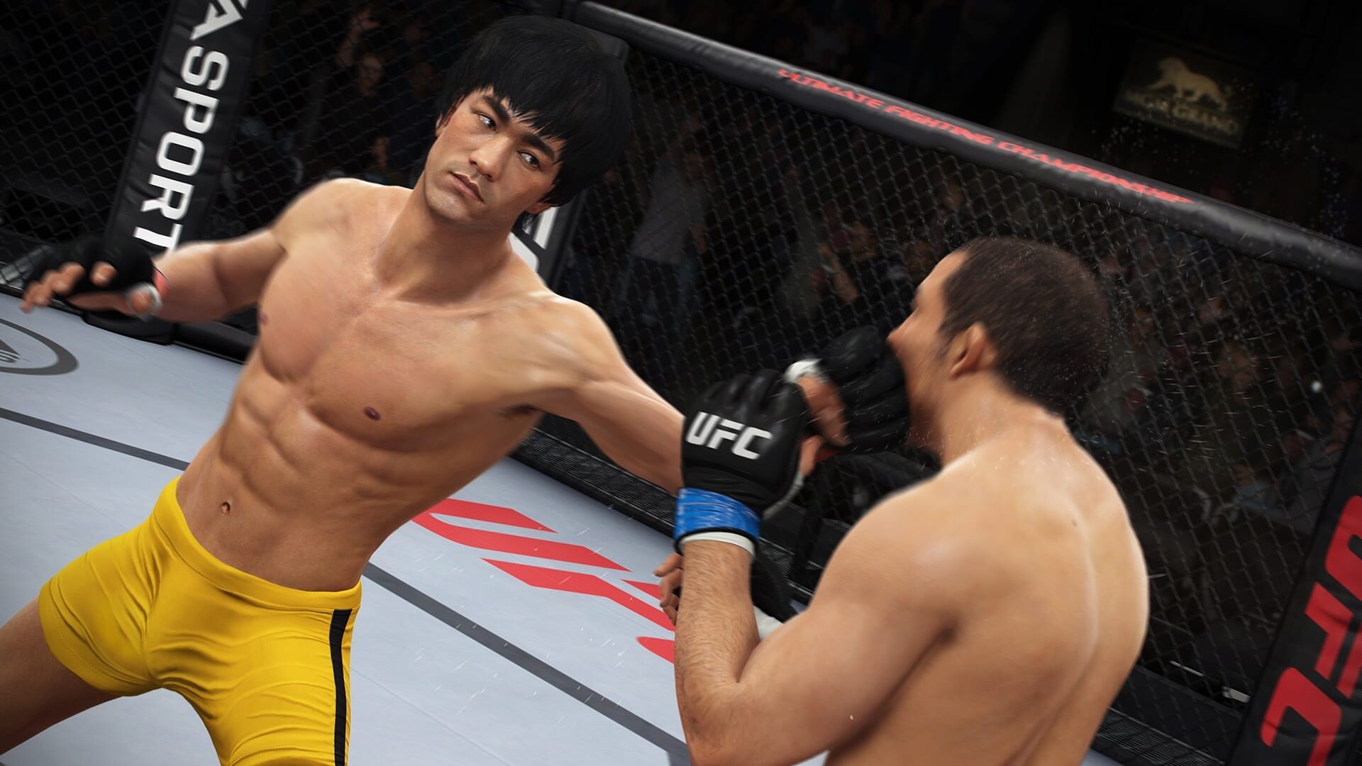 Screenshot for EA Sports UFC