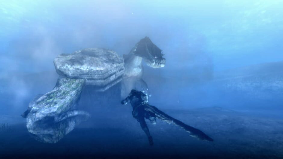 Screenshot for Monster Hunter Tri