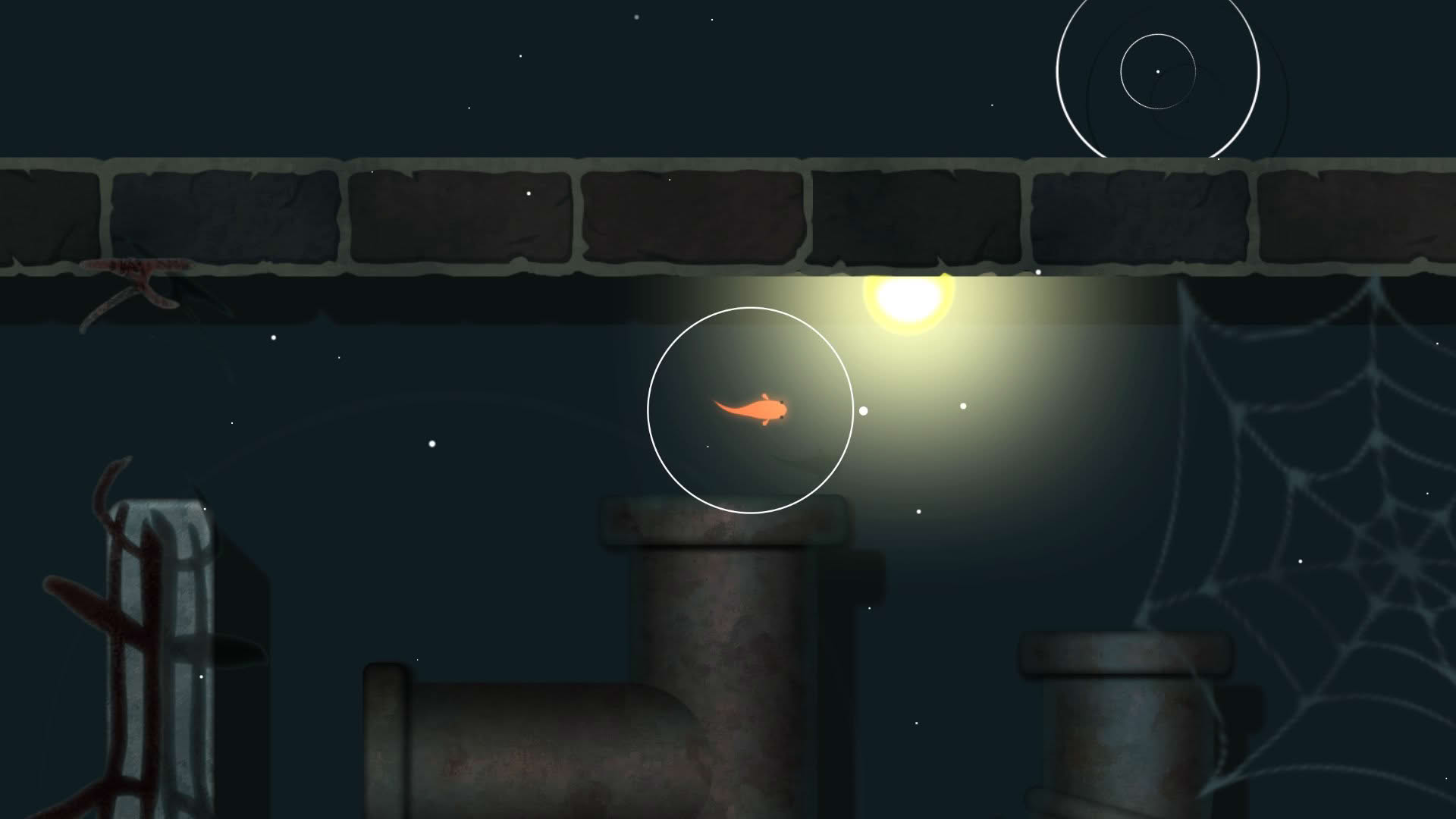 Screenshot for Koi