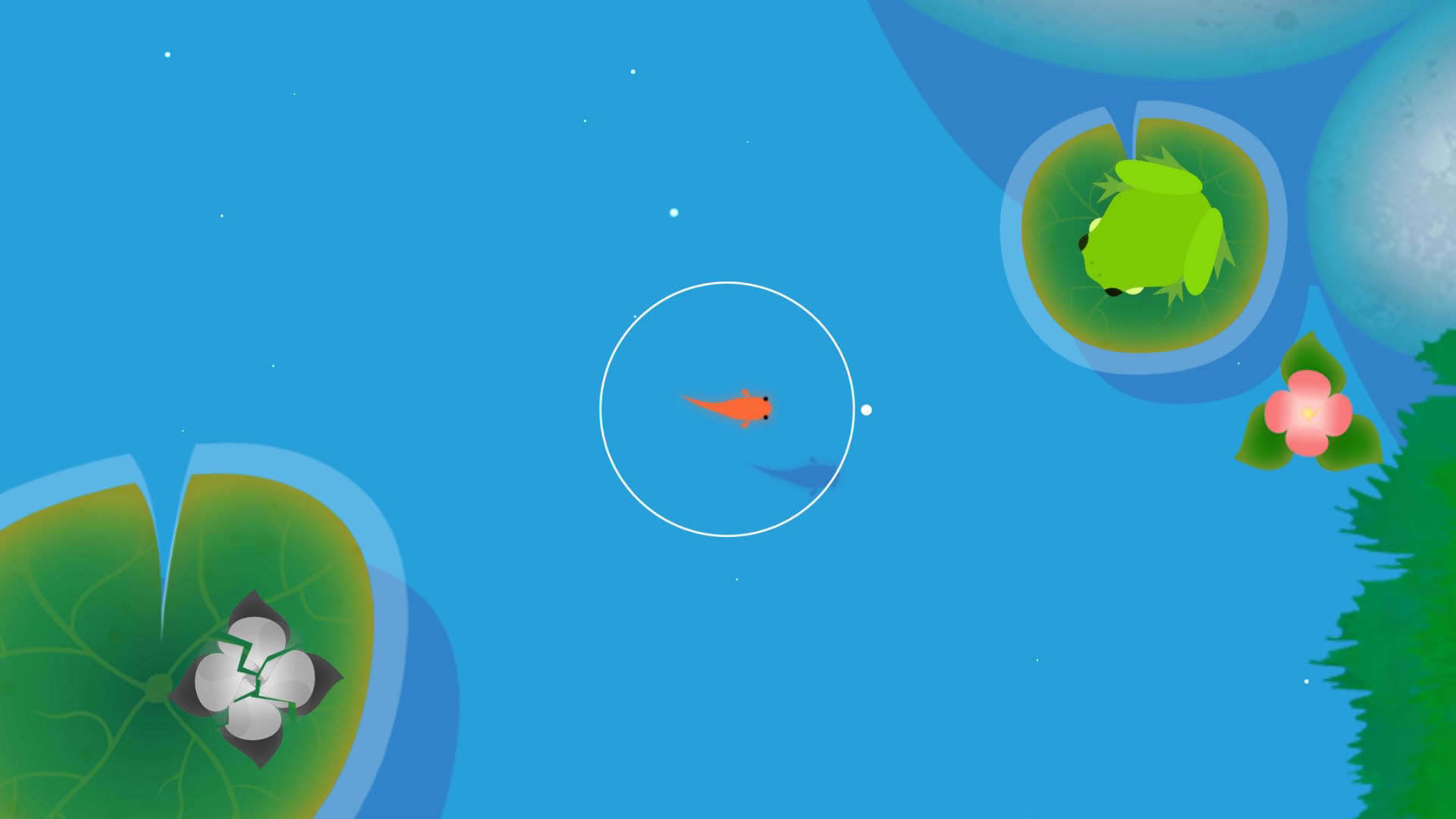 Screenshot for Koi