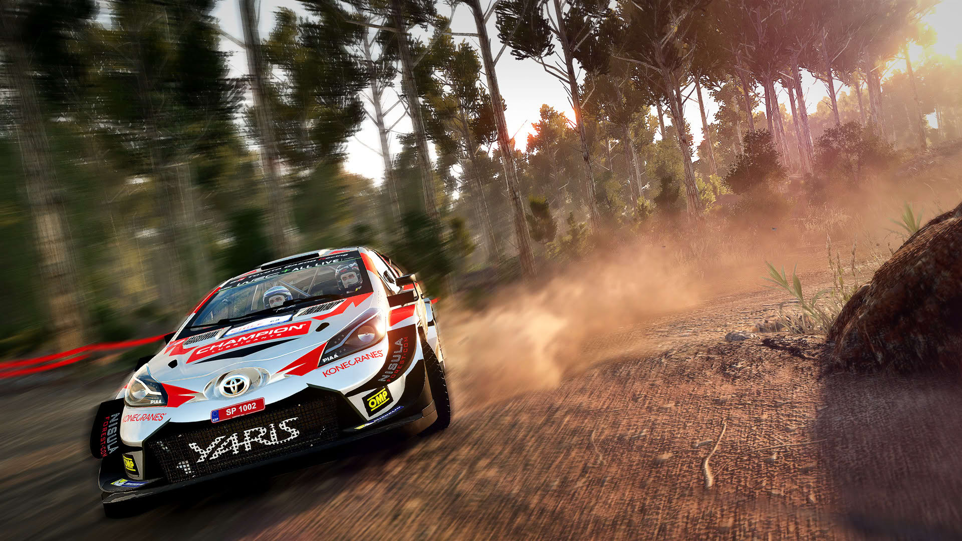 Screenshot for WRC 8