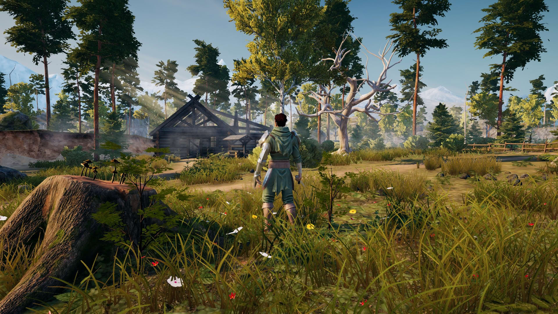 Screenshot for Swordbreaker: Back to the Castle