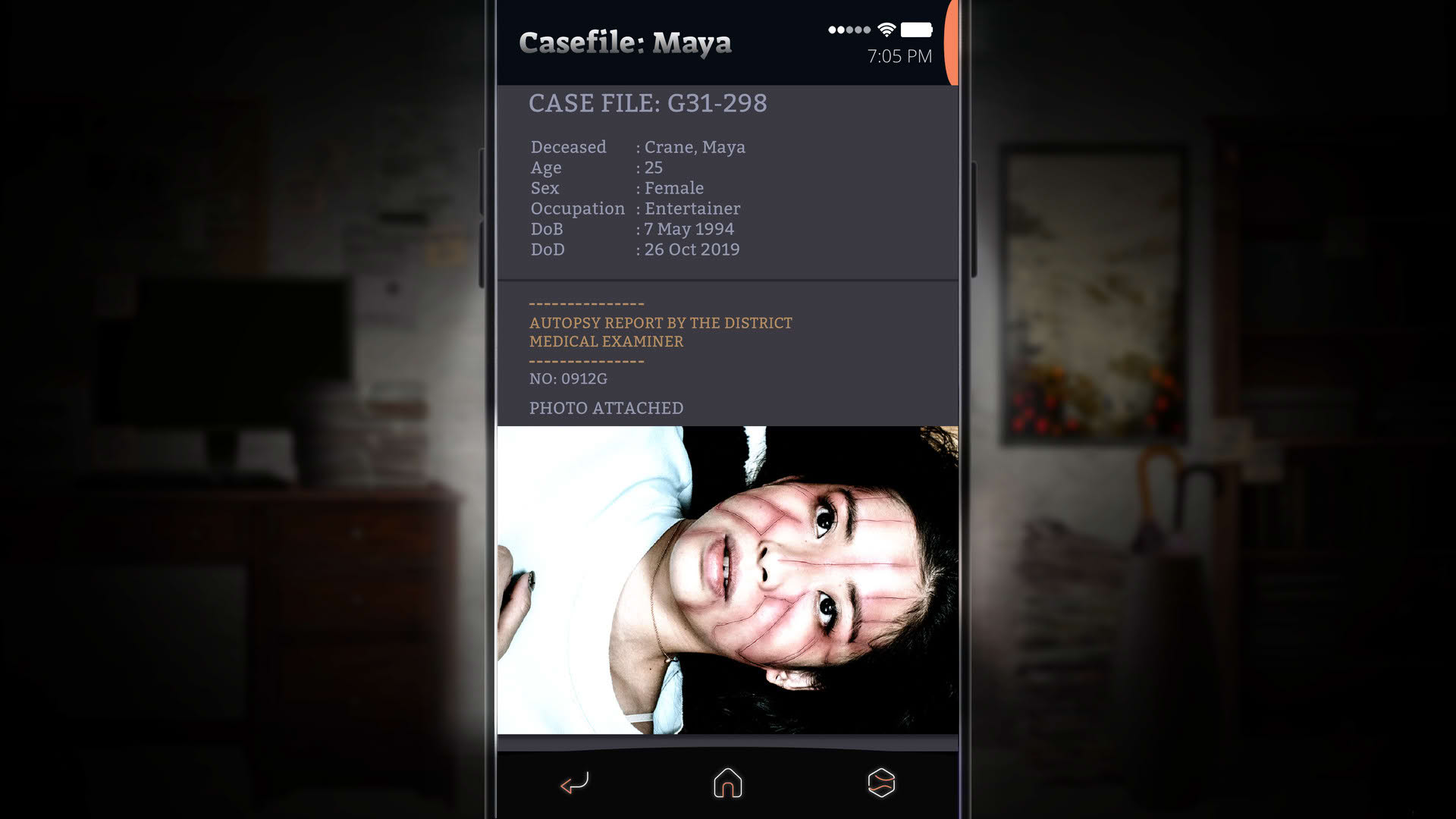 Screenshot for Simulacra 2