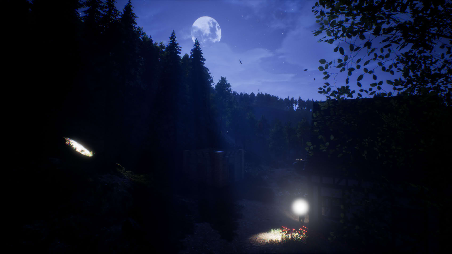 Screenshot for Light the Way