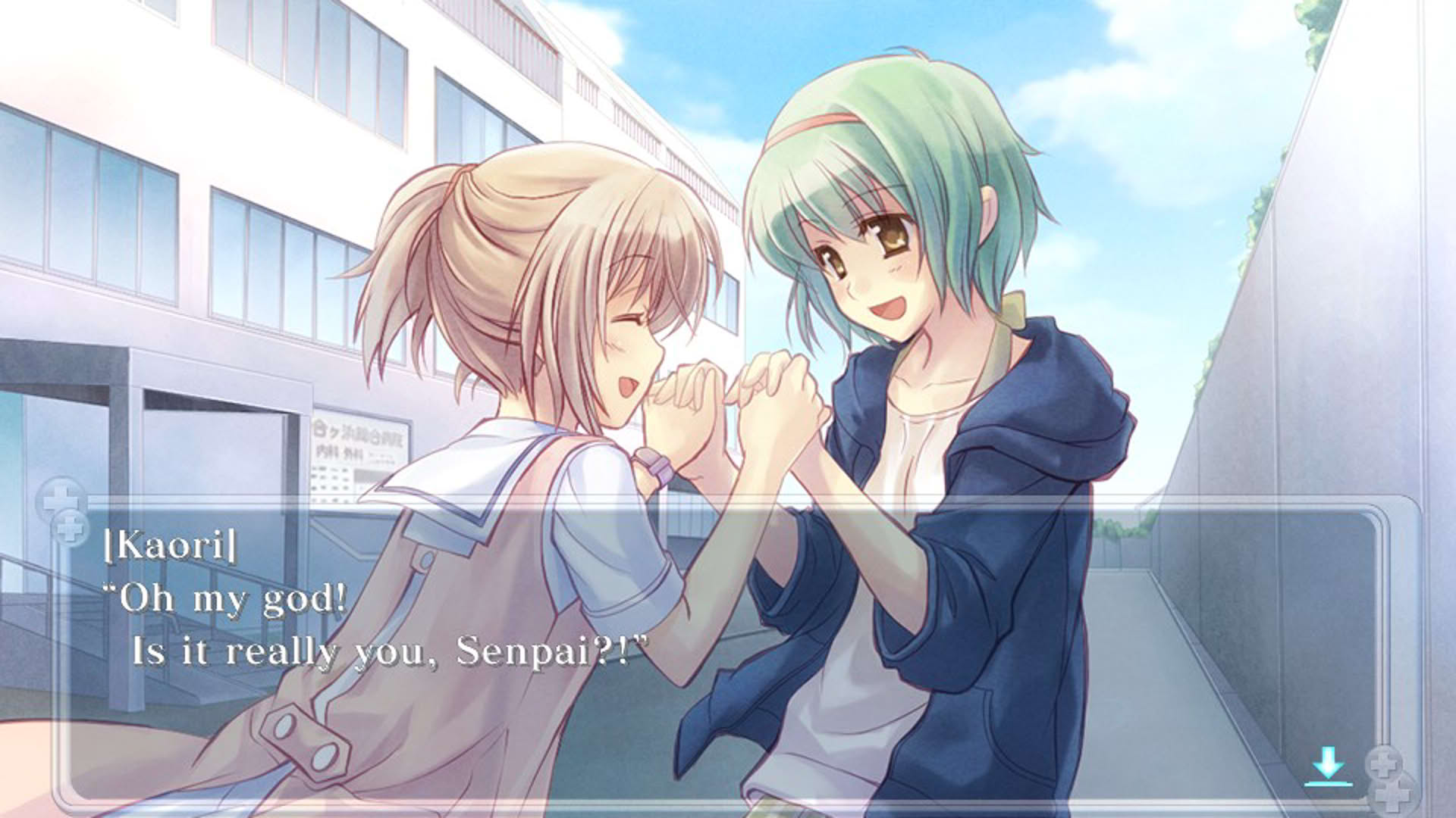 Screenshot for Nurse Love Syndrome